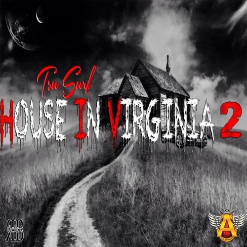 Tsu Surf - House In Virginia 2