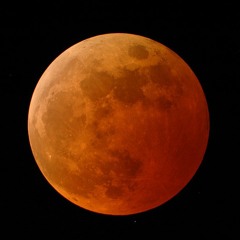 Honey Moon ( FREE DOWNLOAD )