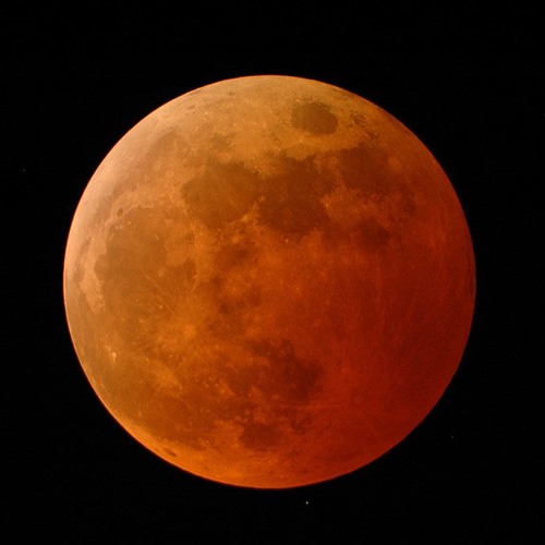 Honey Moon ( FREE DOWNLOAD )