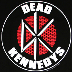 Dead Kennedys - Too Drunk To Fuck (cover)