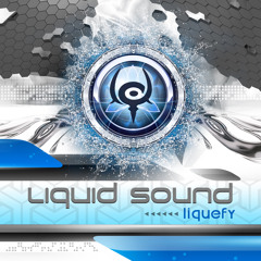 Liquid Sound - No Expectations