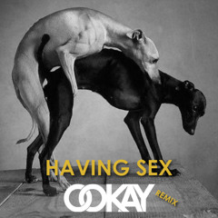 Juicy J - Having Sex (Ookay Remix)