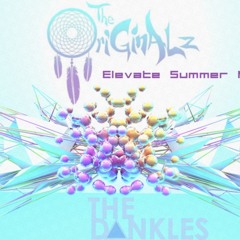 Elevate Summer Mix (The Dankles Exclusive)