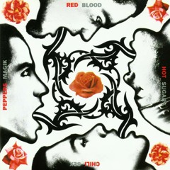 Red Hot Chili Peppers - Blood Sugar Sex Magic (cover guitarra)