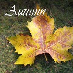 Autumn - Piano Song No.5