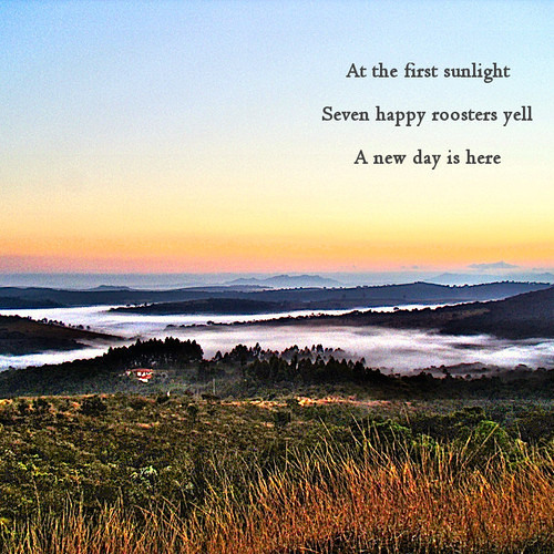 Dawn [Naviarhaiku 014 - At the first sunlight]