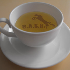 'High Tea' at S.A.S.H - feat dj krush, luvless, phil weeks, ethyl huxley, daft punk