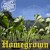 Artwork for Jimmy Weeks Project - Homegrown