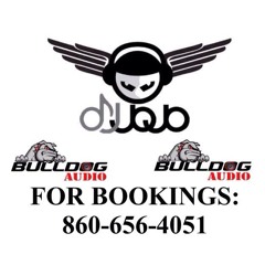 DJ JOJO - Jay Z New York Reggaeton Blend Mini Mix (Bulldog Audio)