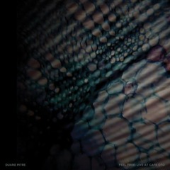 Feel Free: Live At Café OTO (excerpt)