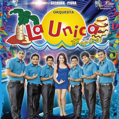 RENUNCIO A TI - LA UNICA TROPICAL (PRIMICIA ABRIL 2014)
