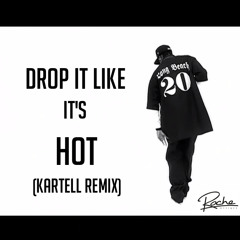 Snoop Dogg - Drop It Like It's Hot (Kartell Remix)