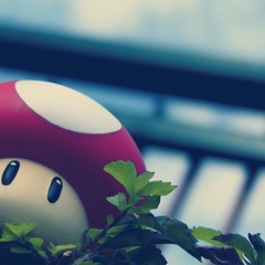 Tribute Tomorrowland 2014 - Episodio 015 | RelaeS's Session