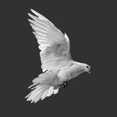 Free Birds Fly Solo