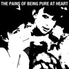 the-pains-of-being-pure-at-heart-young-adult-friction-slumberland-records