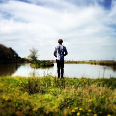 Where Are The Wolves?