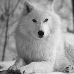 Werewolf. ..point..blankk