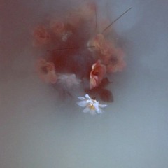 New private playlist