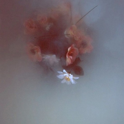 New private playlist