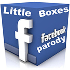 Little Boxes (facebook parody) by The Hooley Shooters