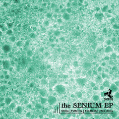 Various Artists_Senium EP | Turbine Music - Out Now