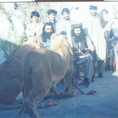 Zama Khkule Janana Ze Jar Sham - Sardar Ali Takkar