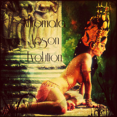 Khromata - Apson Evolution (Psystep DJ Mix)