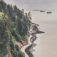 Burning Fences (Noah Gundersen Cover)