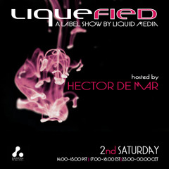 Hector De Mar - Liquefied 067 [Apr 11, 2015] on Proton Radio