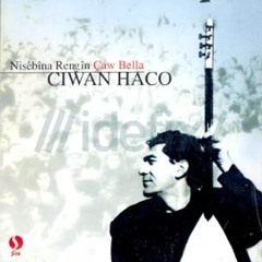 Ciwan Haco - Nisebîna Rengîn
