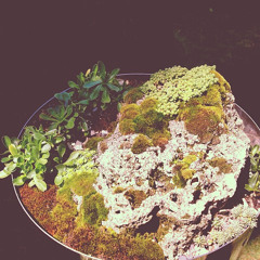 breathing room (2 - 2014)