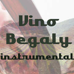 Begaly - Vino ( Kid Ink Instrumental, Ty Dolla Sign Instrumental )