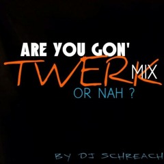 ARE YOU GON' TWERK OR NAH ! ?