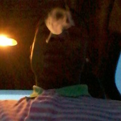 Skip - Im On One (produced by CEO Lil Pugh Da Producer)