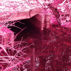 I'm Scared Here Mama.. Yellow Motel April 12 2014 Allegan, Michigan