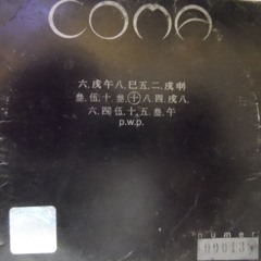 Coma - Skaczemy (live Łódź klub Nexus)