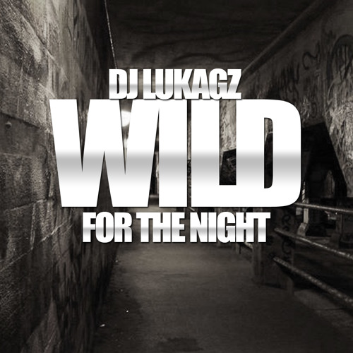Dj Lukagz - Wild For The Night Mix 2014 (Beyonce,Kendrick Lamar,Future,Lil wayne and more)