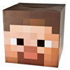 Diamond Heart (Minecraft Parody of Imagine Dragons Demons)