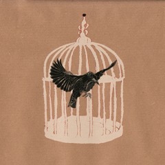 ANYONE CAN SAY I LOVE YOU - Scarlet Starlings