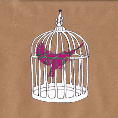 DON'T FIX IT - Scarlet Starlings