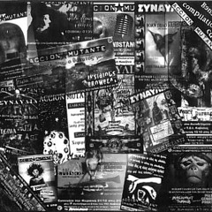 ACCION  MUTANTE  COLLECTIVE  -- lamgtfall(wolfbrigade)