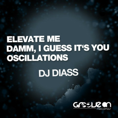 Dj Diass - I Guess It's You [Groove On]
