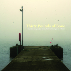 THIRTY POUNDS OF BONE - The Streets I Staggered Down