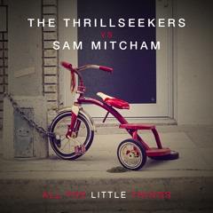 The Thrillseekers Vs Sam Mitcham - All The Little Things