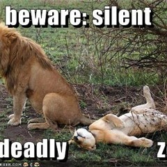 Dreedy - Deadly Zone