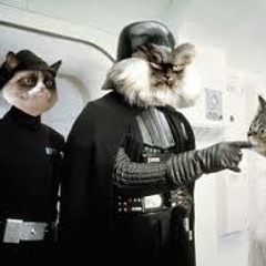 Algorithymns: Poetry² - Star Wars Opening Cat Rant (made with Spreaker)