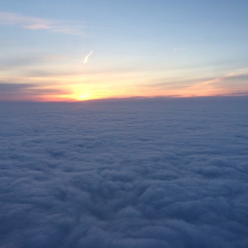 Aloft