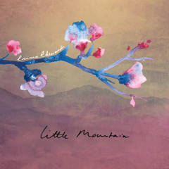 I'm Water - Little Mountain EP