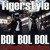 Artwork for Tigerstyle BOL BOL BOL StreamerPilots Dholstep mix