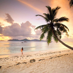 Matisyahu - Live Like a Warrior (Shaq remix)